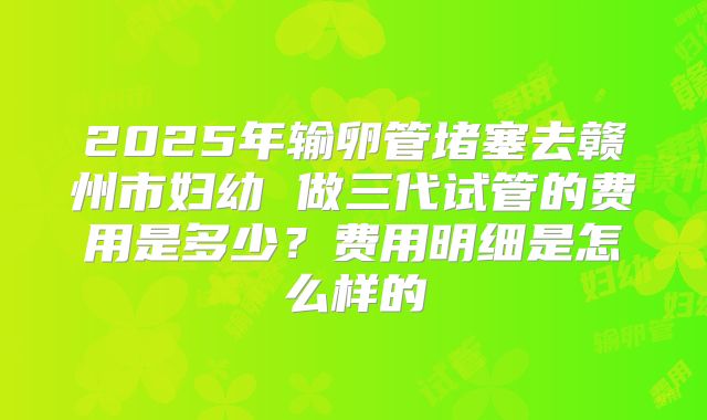 2025年输卵管堵塞去赣州市妇幼 做三代试管的费用是多少？费用明细是怎么样的