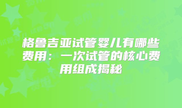 格鲁吉亚试管婴儿有哪些费用:一次试管的核心费用组成揭秘