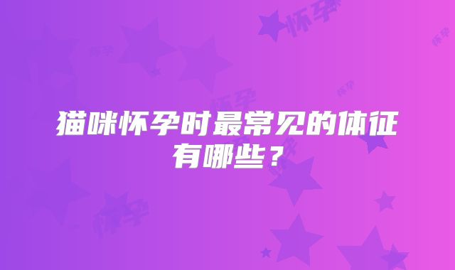猫咪怀孕时最常见的体征有哪些?