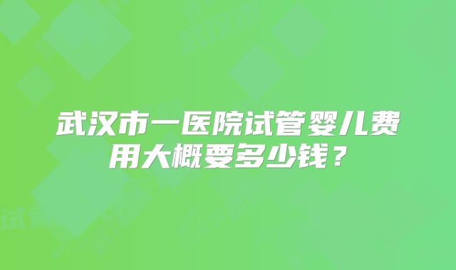 武汉市一医院试管婴儿费用大概要多少钱?