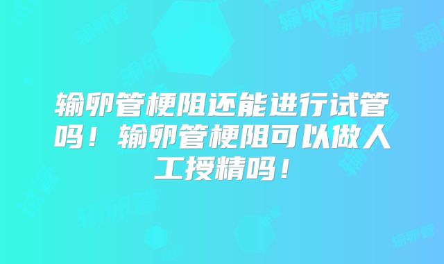 输卵管梗阻还能进行试管吗！输卵管梗阻可以做人工授精吗！