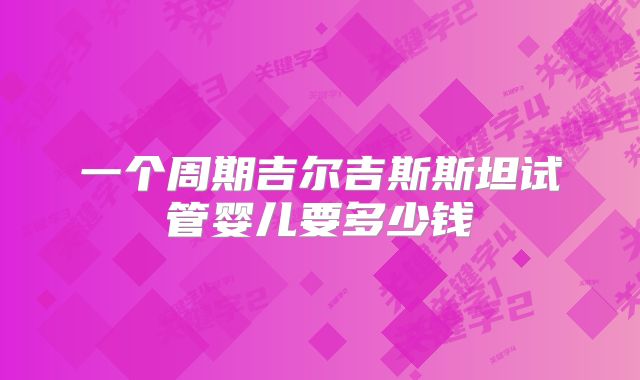 一个周期吉尔吉斯斯坦试管婴儿要多少钱