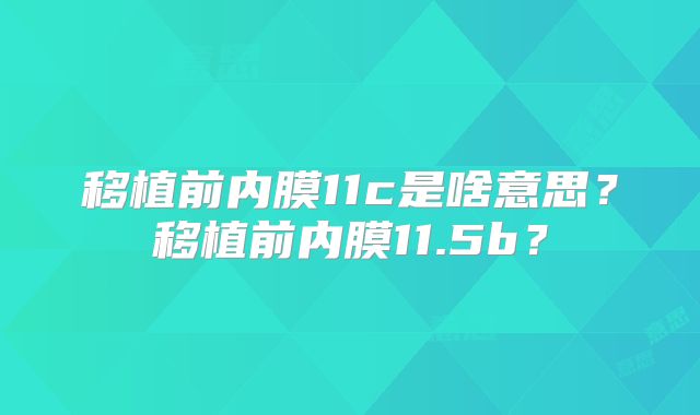 移植前内膜11c是啥意思?移植前内膜11.5b?