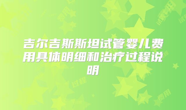 吉尔吉斯斯坦试管婴儿费用具体明细和治疗过程说明