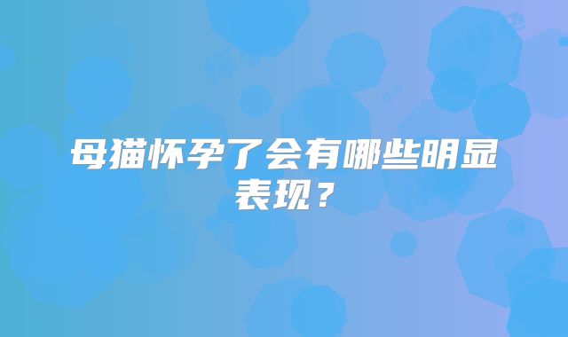 母猫怀孕了会有哪些明显表现?