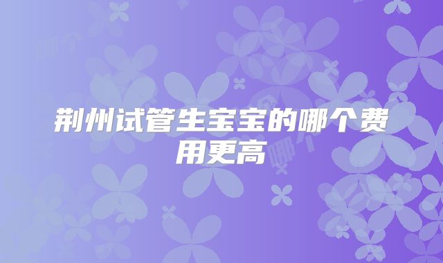 荆州试管生宝宝的哪个费用更高