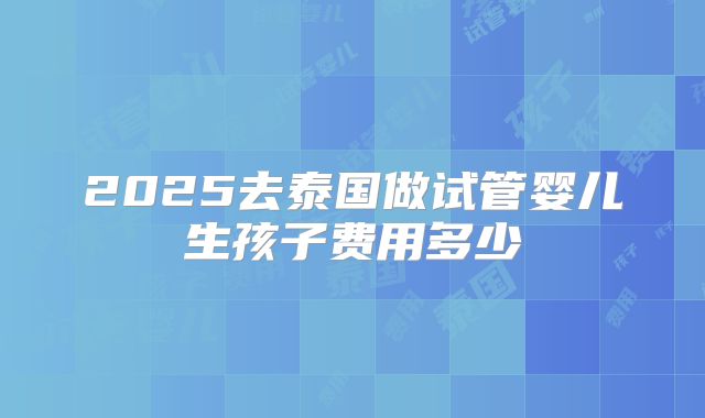 2025去泰国做试管婴儿生孩子费用多少