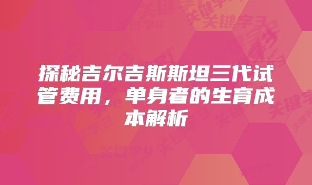 探秘吉尔吉斯斯坦三代试管费用,单身者的生育成本解析