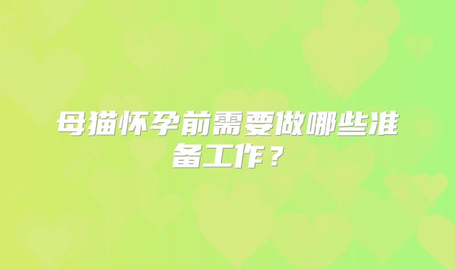 母猫怀孕前需要做哪些准备工作？