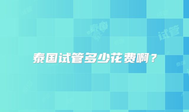 泰国试管多少花费啊？