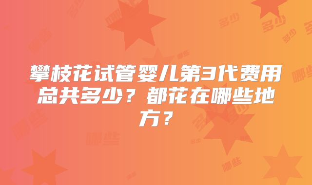 攀枝花试管婴儿第3代费用总共多少?都花在哪些地方?