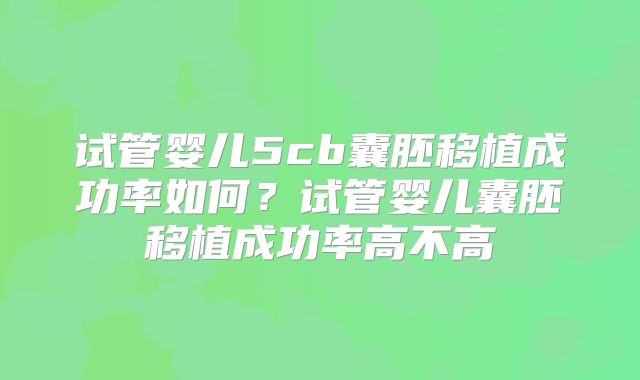 试管婴儿5cb囊胚移植成功率如何？试管婴儿囊胚移植成功率高不高