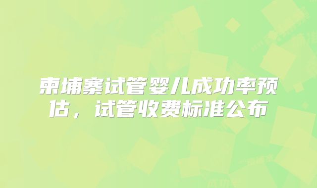 柬埔寨试管婴儿成功率预估，试管收费标准公布