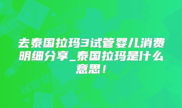 去泰国拉玛3试管婴儿消费明细分享_泰国拉玛是什么意思!