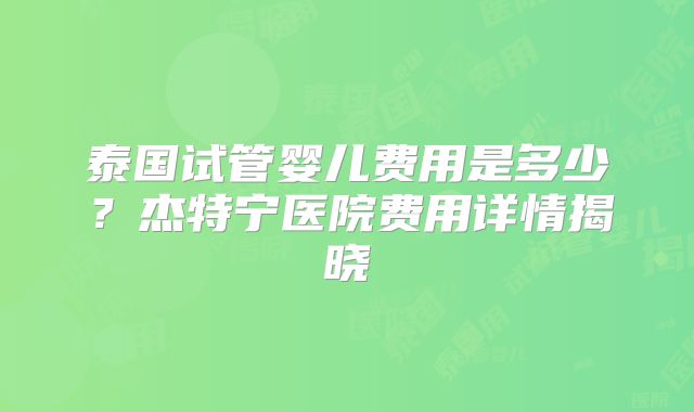 泰国试管婴儿费用是多少？杰特宁医院费用详情揭晓