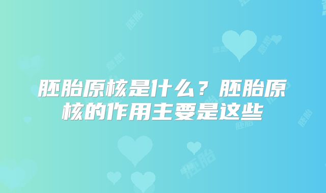 胚胎原核是什么？胚胎原核的作用主要是这些