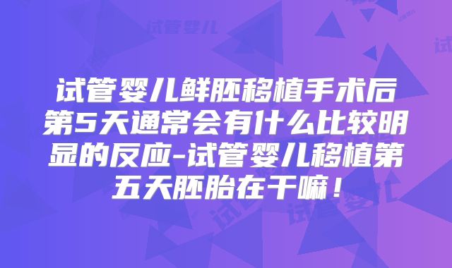 试管婴儿鲜胚移植手术后第5天通常会有什么比较明显的反应-试管婴儿移植第五天胚胎在干嘛！