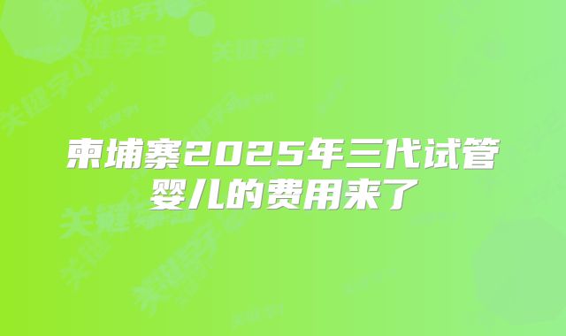 柬埔寨2025年三代试管婴儿的费用来了