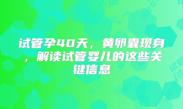 试管孕40天,黄卵囊现身,解读试管婴儿的这些关键信息