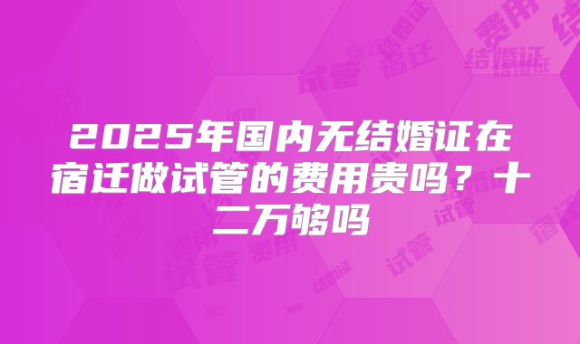 2025年国内无结婚证在宿迁做试管的费用贵吗?十二万够吗