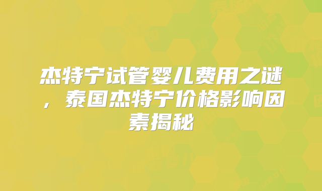 杰特宁试管婴儿费用之谜,泰国杰特宁价格影响因素揭秘