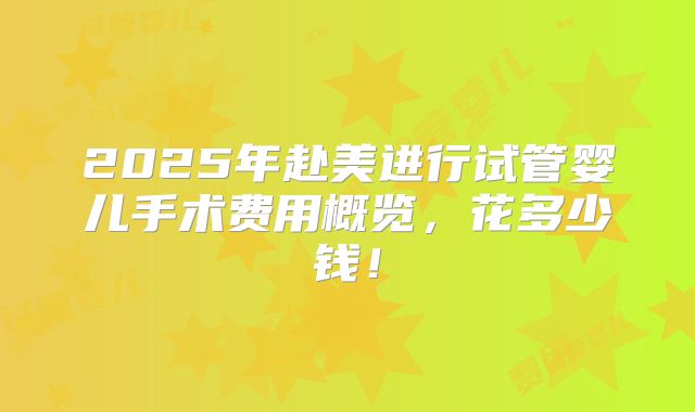 2025年赴美进行试管婴儿手术费用概览,花多少钱!