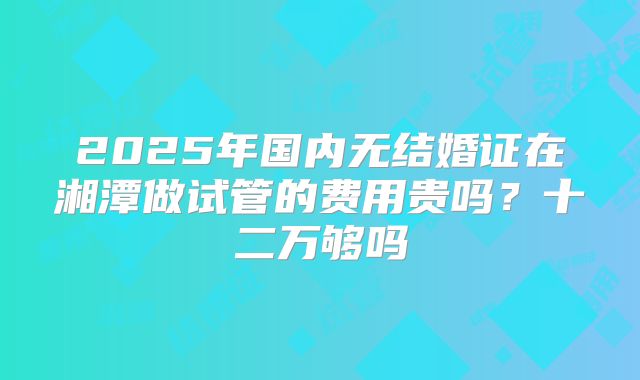 2025年国内无结婚证在湘潭做试管的费用贵吗？十二万够吗