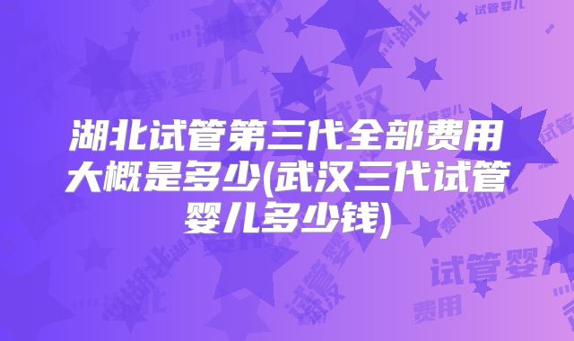 湖北试管第三代全部费用大概是多少(武汉三代试管婴儿多少钱)