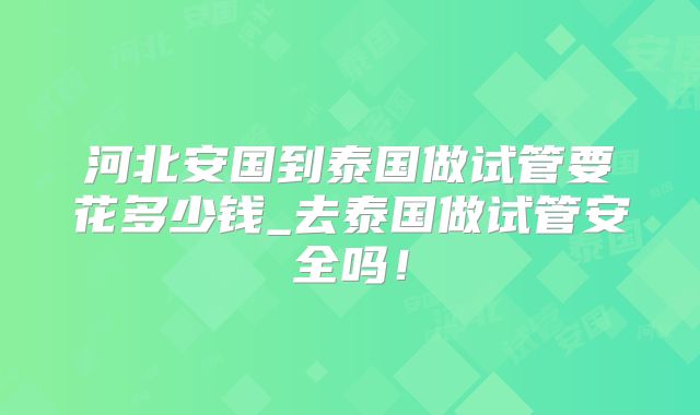 河北安国到泰国做试管要花多少钱_去泰国做试管安全吗！