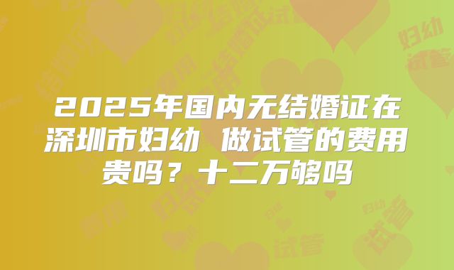 2025年国内无结婚证在深圳市妇幼 做试管的费用贵吗？十二万够吗