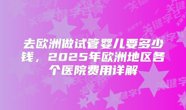 去欧洲做试管婴儿要多少钱，2025年欧洲地区各个医院费用详解