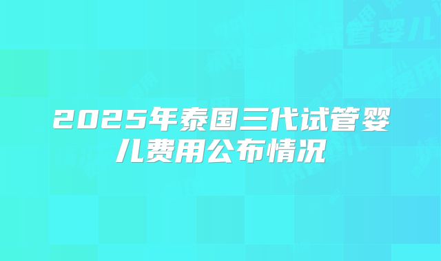 2025年泰国三代试管婴儿费用公布情况