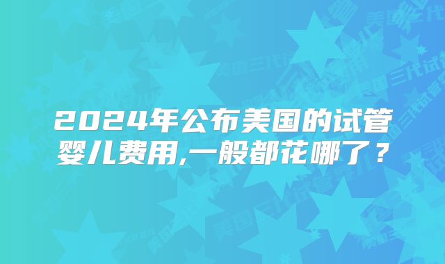 2024年公布美国的试管婴儿费用,一般都花哪了？