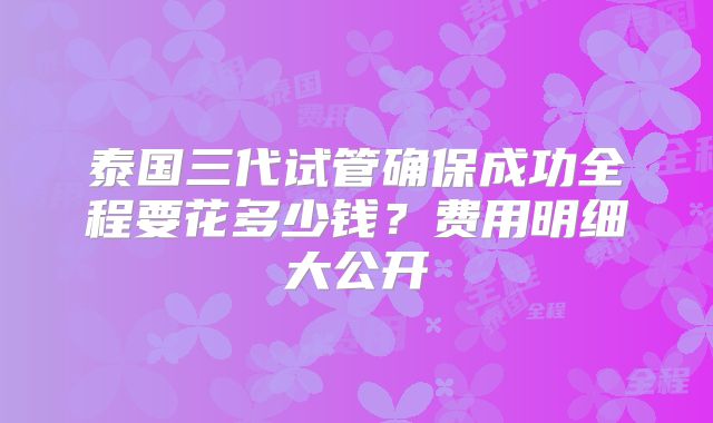 泰国三代试管确保成功全程要花多少钱？费用明细大公开