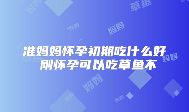 准妈妈怀孕初期吃什么好 刚怀孕可以吃草鱼不