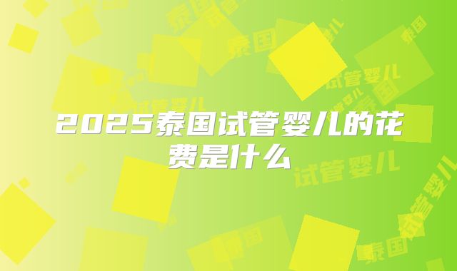 2025泰国试管婴儿的花费是什么