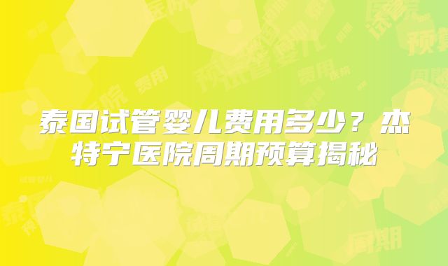 泰国试管婴儿费用多少？杰特宁医院周期预算揭秘