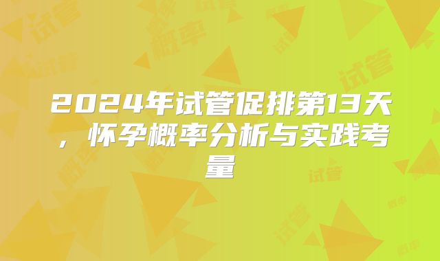 2024年试管促排第13天,怀孕概率分析与实践考量