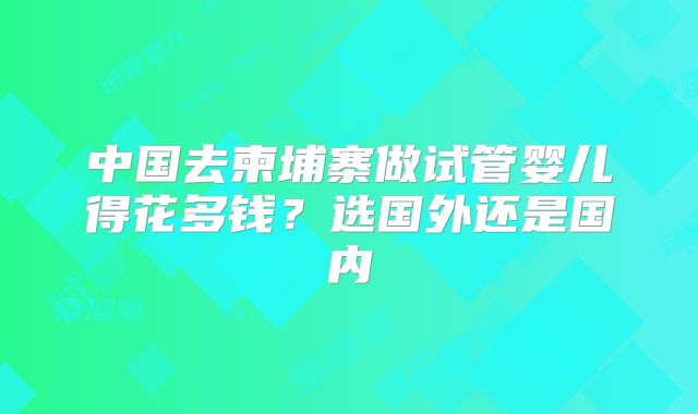 中国去柬埔寨做试管婴儿得花多钱?选国外还是国内