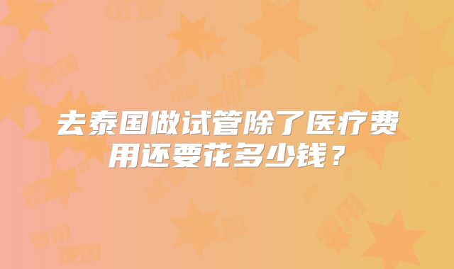 去泰国做试管除了医疗费用还要花多少钱？