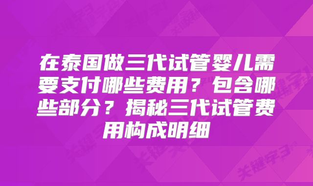 在泰国做三代试管婴儿需要支付哪些费用？包含哪些部分？揭秘三代试管费用构成明细