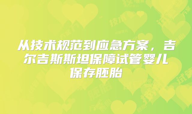 从技术规范到应急方案,吉尔吉斯斯坦保障试管婴儿保存胚胎