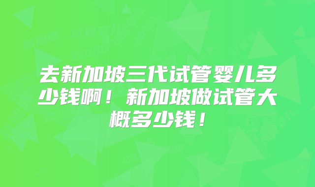 去新加坡三代试管婴儿多少钱啊！新加坡做试管大概多少钱！