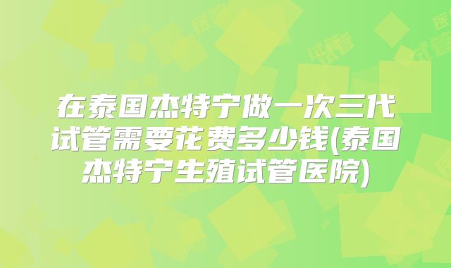 在泰国杰特宁做一次三代试管需要花费多少钱(泰国杰特宁生殖试管医院)