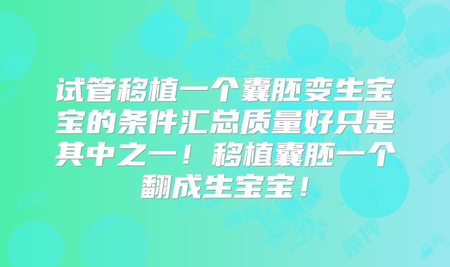 试管移植一个囊胚变生宝宝的条件汇总质量好只是其中之一！移植囊胚一个翻成生宝宝！