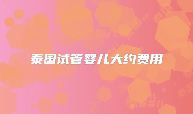 泰国试管婴儿大约费用