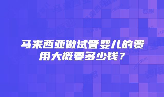 马来西亚做试管婴儿的费用大概要多少钱？