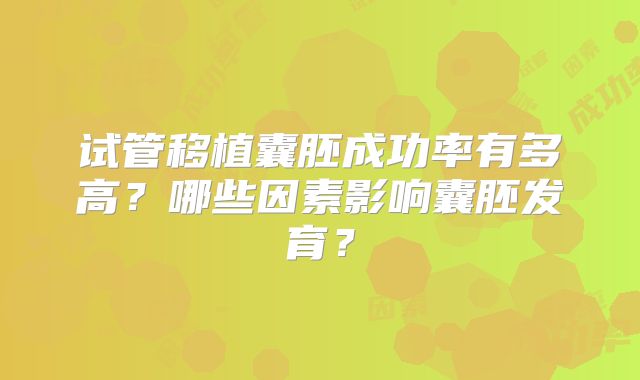 试管移植囊胚成功率有多高?哪些因素影响囊胚发育?