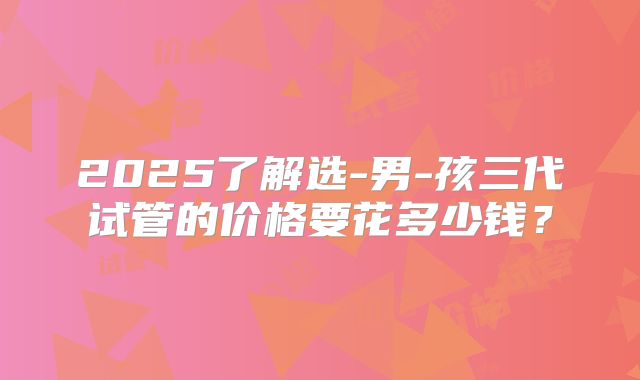 2025了解选-男-孩三代试管的价格要花多少钱?
