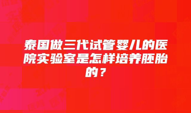 泰国做三代试管婴儿的医院实验室是怎样培养胚胎的？